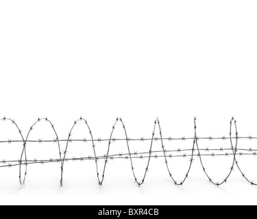 Stacheldraht isoliert auf weißem Hintergrund-Seitenansicht Stockfoto