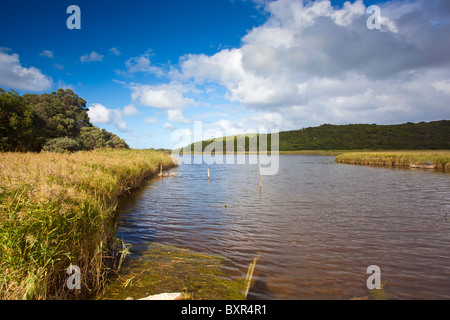 Aire River, Great Otway National Park, Great Ocean Road, Apollo Bay, Victoria Stockfoto