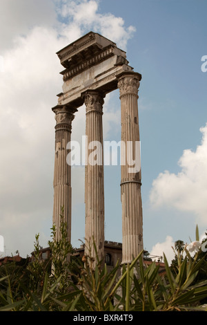 Die Ruinen des Tempels der Castori auf dem Forum Romanum (Forum Romanum) (Foro Romano) im antiken Rom, Italien Stockfoto