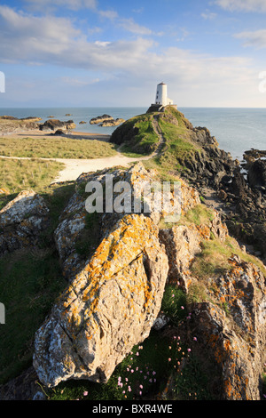 Der Leuchtturm auf Llanddwyn Island, Anglesey, Nordwales.  Gefangen im warmen Abendlicht im Sommer. Stockfoto