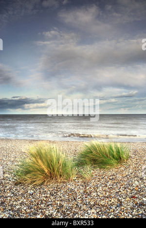 Tufts Dünengebieten Gras auf Kessingland Strand (SSSI), Suffolk, uk Stockfoto