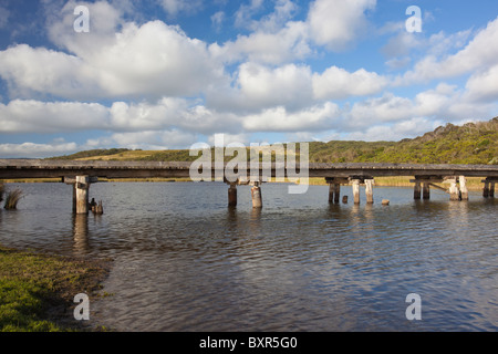 Holzbrücke über den Fluss Aire, Great Otway National Park, Great Ocean Road, Apollo Bay, Victoria Stockfoto