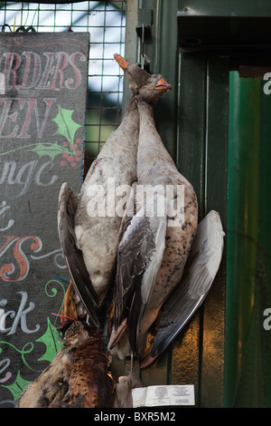 Wildfleisch auf dem Display, Borough Market, London, England-Close-up Stockfoto