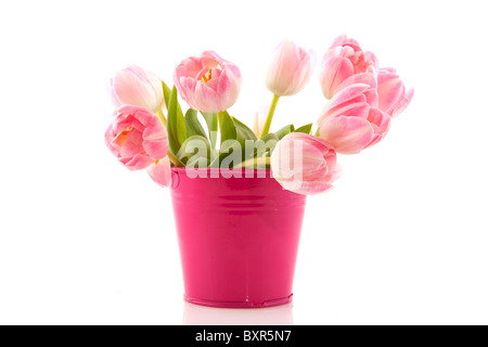 Kleine Metall-Eimer mit rosa Tulpen im Frühling Stockfoto