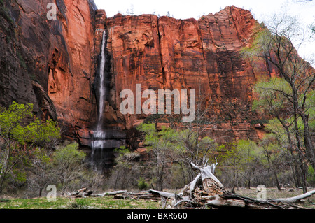 Fällt am Temple of Sinawava, Zion Nationalpark, Utah Stockfoto