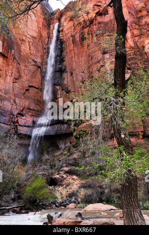 Fällt am Temple of Sinawava, Zion Nationalpark, Utah Stockfoto