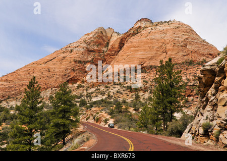 Kreuz-Bett Sandstein auf Zion-Mt. Carmel Highway, Zion Nationalpark, Utah Stockfoto