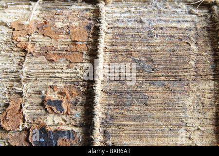 die verbindliche Wirbelsäule eines alten und beschädigten Buch Stockfoto