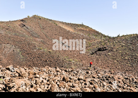 Geologe in Bereich der vulkanische Bomben, Ausgestoßene Magma die gekühlt beim fallen, El Pinacate Biosphärenreservat, Sonora, Mexiko Stockfoto