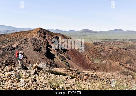 Geologe anzeigen innere Tecolote Schlackenkegel, El Pinacate Biosphärenreservat, Sonora, Mexiko Stockfoto