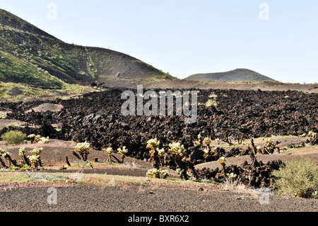 Lavastrom auf Seite der Tecolote Schlackenkegel, El Pinacate Biosphärenreservat, Sonora, Mexiko Stockfoto