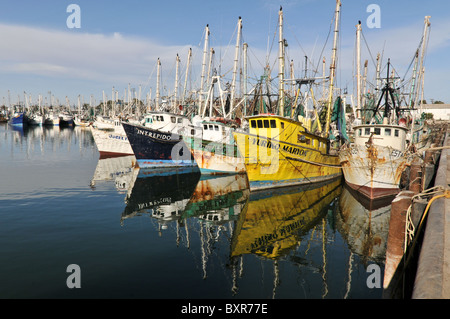 Krabbenkutter im Hafen, Puerto Penasco, Sonora, Mexiko angedockt Stockfoto