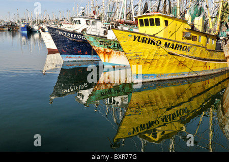 Krabbenkutter im Hafen, Puerto Penasco, Sonora, Mexiko angedockt Stockfoto