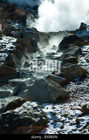 Dampf steigt von Dämpfen in einem der "Höllen" Japans bei ins im Fuji-Hakone-Nationalpark Stockfoto