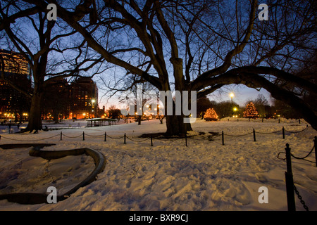 Brunnen und alten Pollard-Baum in den öffentlichen Gärten im Schnee, Weihnachten, Boston, Ma, USA Stockfoto