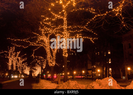 Weihnachts-Dekorationen auf der Commonwealth Avenue, in der Stadt Boston, Ma, USA Stockfoto