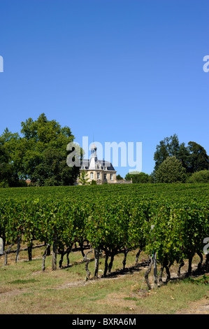 Frankreich, Bordeaux, Médoc Vineyards, Chateau Fonreaud Stockfoto