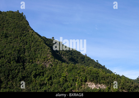 Die Wälder in Caldera de Taburiente National Park, La Palma, Kanarische Inseln Stockfoto