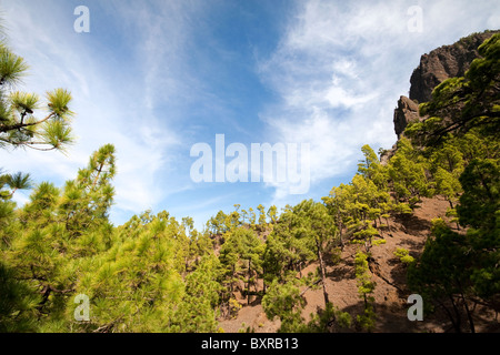 Blick auf eine Punta de Los Roques im Nationalpark Caldera de Taburiente auf La Palma, Kanarische Inseln Stockfoto