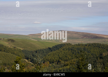 Leuchtende Tor von Shutlingsloe und Wildboarclough Macclesfield, Cheshire England Stockfoto