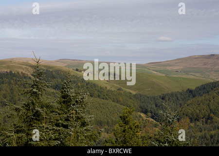 Leuchtende Tor von Shutlingsloe und Wildboarclough Macclesfield, Cheshire England Stockfoto