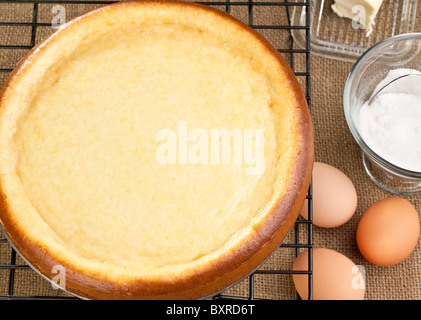 Ganzen frischen Käsekuchen mit den Zutaten Stockfoto