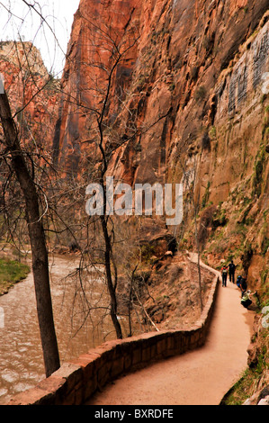Gehweg entlang Virgin River, Zion Nationalpark, Utah Stockfoto