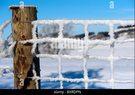 Nahaufnahme von Raureif auf Drahtzaun, bilden Eiskristalle bilden Stockfoto