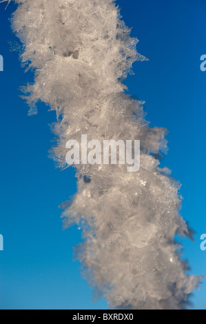 Nahaufnahme von Raureif auf Drahtzaun, bilden Eiskristalle bilden Stockfoto