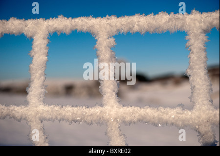 Nahaufnahme von Raureif auf Drahtzaun, bilden Eiskristalle bilden Stockfoto