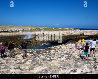 Devils bridge einen natürlichen Bogen geschnitzt am Meer am östlichen Ende der Karibik Antigua West Indies Stockfoto