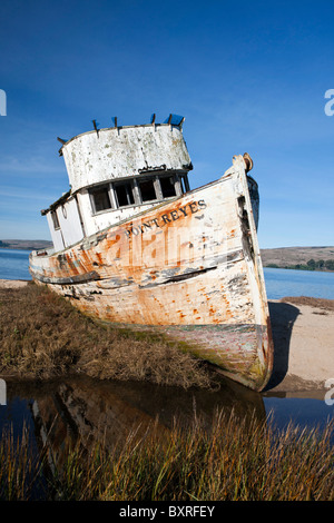 Verlassene Schiffswrack von Point Reyes entlang der Ufer der Tomales Bay, nahe Point Reyes National Seashore, Kalifornien Stockfoto