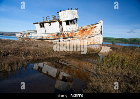 Verlassene Schiffswrack von Point Reyes entlang der Ufer der Tomales Bay, nahe Point Reyes National Seashore, Kalifornien Stockfoto