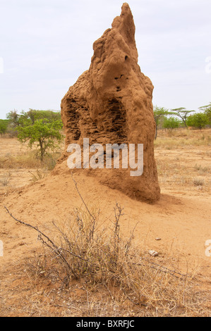 Omo Tal Flusslandschaft mit Termite Mound, Südliches Äthiopien-Afrika Stockfoto