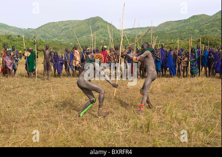 Donga Stick Kämpfer, Surma Stamm, Tulgit, Omo-Tal, Äthiopien Donga Kämpfer, Surma Volk, Tulgit, Omo Tal, Äthiopien Stockfoto