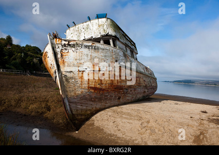 Verlassene Schiffswrack von Point Reyes entlang der Ufer der Tomales Bay, nahe Point Reyes National Seashore, Kalifornien Stockfoto