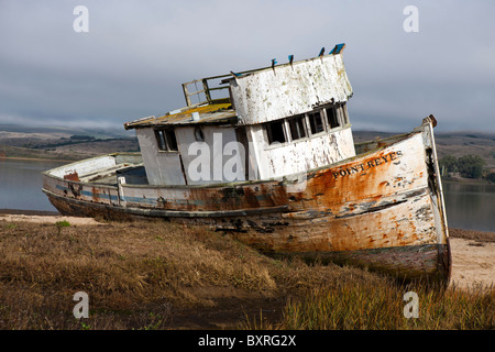 Verlassene Schiffswrack von Point Reyes entlang der Ufer der Tomales Bay, nahe Point Reyes National Seashore, Kalifornien Stockfoto