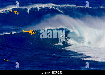 Gigantische Wellen in Maui mit gelben Hubschrauber am Peahi, auch bekannt als "Der weiße Hai".  Welt berühmt Tow-in Surfspot in Hawaii Stockfoto