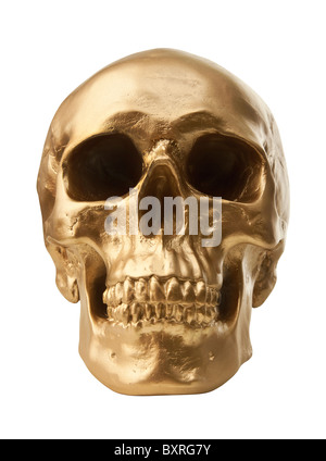 Goldenen menschlichen Schädel, die isoliert auf weißem Hintergrund Stockfoto