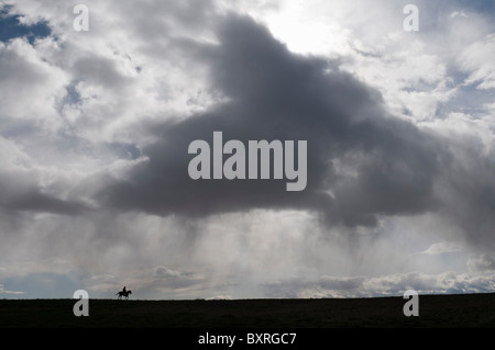 Silhouette von einem einsamen Pferd und Reiter unter einem großen Himmel Stockfoto