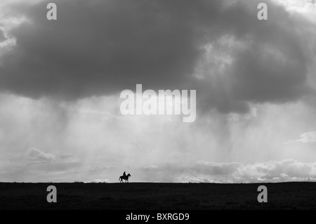 Silhouette von einem einsamen Pferd und Reiter unter einem großen Himmel Stockfoto