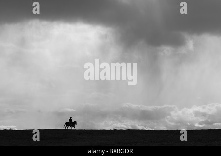 Silhouette von einem einsamen Pferd und Reiter unter einem großen Himmel Stockfoto