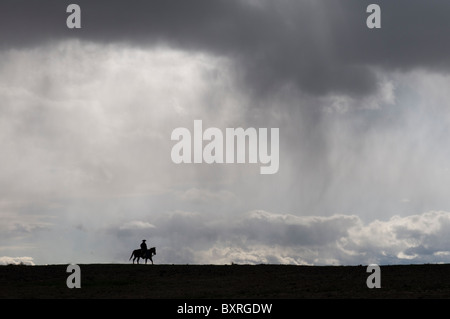 Silhouette von einem einsamen Pferd und Reiter unter einem großen Himmel Stockfoto