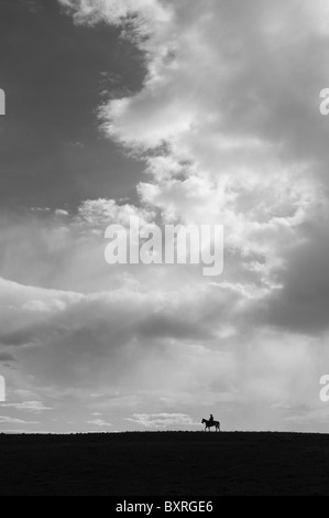 Silhouette von einem einsamen Pferd und Reiter unter einem großen Himmel Stockfoto