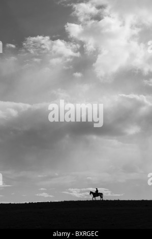 Silhouette von einem einsamen Pferd und Reiter unter einem großen Himmel Stockfoto