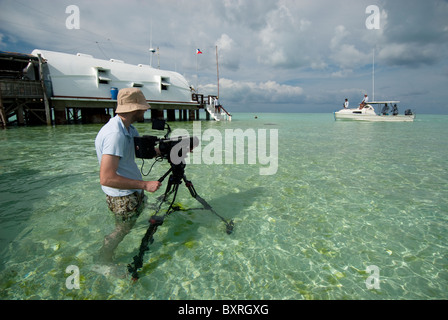 Mann filmt in Wasser flach genug stehen, Tubbataha, Palawan, Philippinen Stockfoto