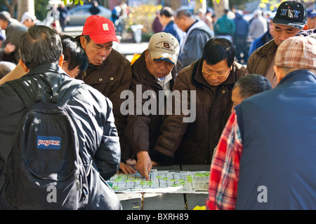 Chinesische Amerikaner Xiang Qi oder chinesisches Schach in Columbus Park, Chinatown, New York City spielen Stockfoto