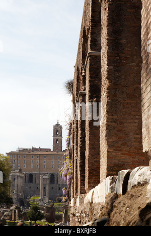 Große Spalten am Palatin, Rom, Italien Stockfoto