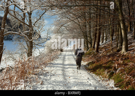 Malerische Winterwandern im Schnee entlang einer alten Karrenweg am Waldrand in der Nähe von Almorness Haus Galloway Schottland Castle Hill Stockfoto