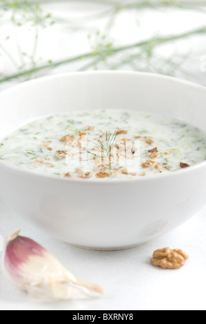 Traditionelle bulgarische kalter Sommer Suppe aus Joghurt, Gurken, Knoblauch, Öl, Nüssen Stockfoto